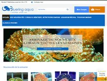 Tablet Screenshot of bluering-aqua.com